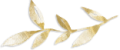 Exp_LeaveGold_V02